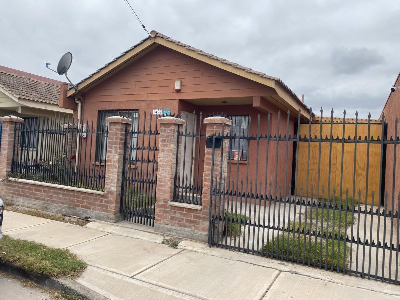 Bosque San Carlos, Coquimbo.