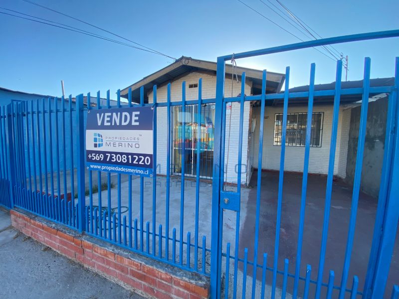 Bosque San Carlos, Coquimbo.